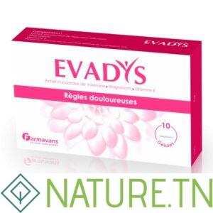 FARMAVANS EVADYS,10 Gélules