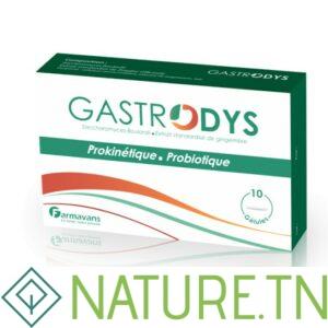 FARMAVANS GASTRODYS, 10 Gélules