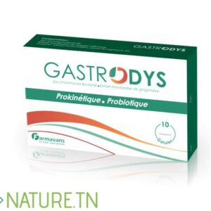 FARMAVANS GASTRODYS, 10 Gélules
