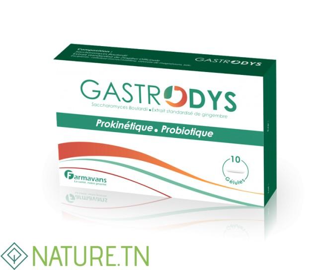 FARMAVANS GASTRODYS, 10 Gélules 1 FARMAVANS GASTRODYS, 10 Gélules 1