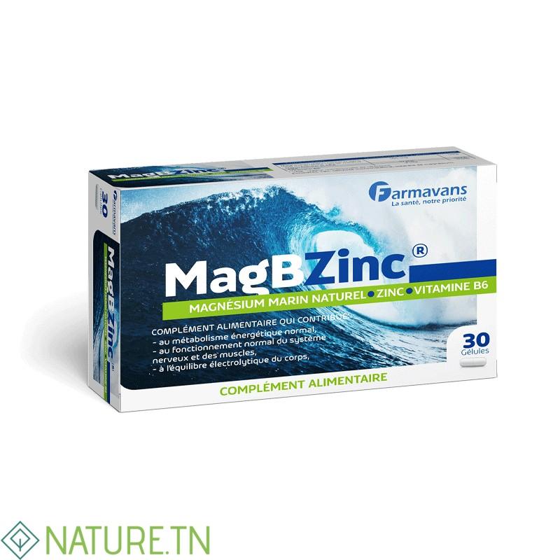FARMAVANS MAG B ZINC 30 GELULES 1 FARMAVANS MAG B ZINC 30 GELULES 1