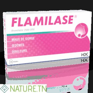 FLAMILASE 10 GELULES