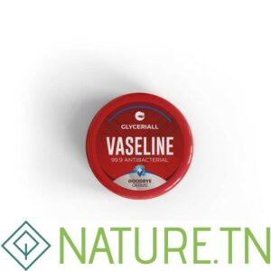 GLYCERIALL VASELINE HYPOALLERGENIQUE POT 100ML