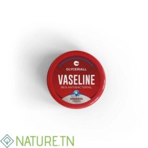 GLYCERIALL VASELINE HYPOALLERGENIQUE POT 100ML