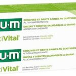 GUM ACTIVITAL DENTIFRICE GEL LOT DE 2*75ML