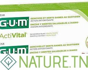 GUM ACTIVITAL DENTIFRICE GEL LOT DE 2*75ML