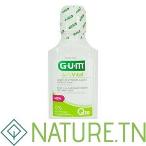 GUM BAIN DE BOUCHE ACTIVITAL 300ML