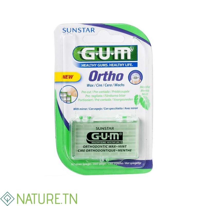 GUM CIRE ORTHODONTIQUE MENTHE 724 1