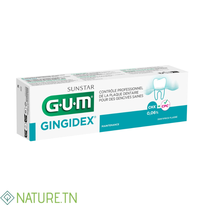 GUM DENTIFRICE GINGIDEX 75ML 1 GUM DENTIFRICE GINGIDEX 75ML 1