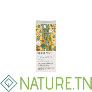 HERBEOS HUILE ESSENTIELLE EUCALYPTUS RADIE 5ML