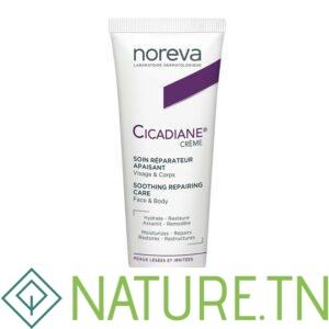 NOREVA CICADIANE CREME REPARATRICE APAISANTE 40ML