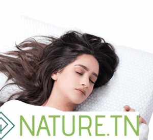 ORTHOMED OREILLER A MEMOIRE DE FORME ET GEL RAFRAICHISSANT