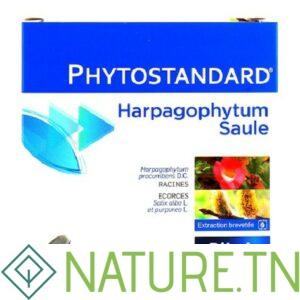 PILEJE PREVENT PHYTOSTANDARD D’HARPAGOPHYTUM ET DE SAULE 30 COMPRIMES