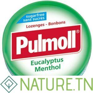 PULMOLL EUCALYPTUS MENTHOL PASTILLES SANS SUCRES 45 G