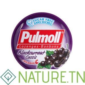PULMOLL SANS SUCRE SAVEUR CASSIS 45G