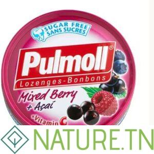 PULMOLL SANS SUCRE SAVEUR FRUITS ROUGES 45G
