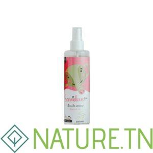 SENSIDOUX BEBE EAU DE SENTEUR SANS ALCOOL 250 ML