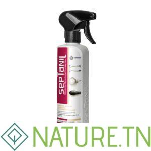 SEPTANIL DESODORISANT DESINFECTANT ANTISEPTIQUE VANILLE FRAMBOISE 500ML