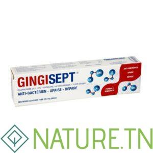 STODERMA GINGISEPT DENTIFRICE 65ML