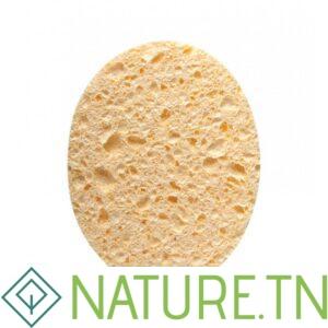 TITANIA 02 EPONGES HUMIDES 12*9.5*1CM 1980