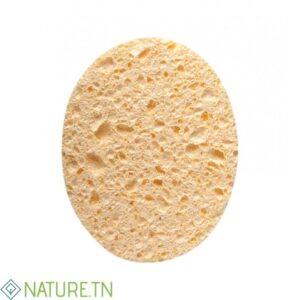 TITANIA 02 EPONGES HUMIDES 12*9.5*1CM 1980