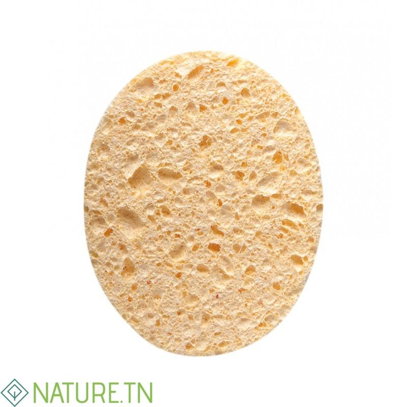 TITANIA 02 EPONGES HUMIDES 12*9.5*1CM 1980 1 TITANIA 02 EPONGES HUMIDES 12*9.5*1CM 1980 1