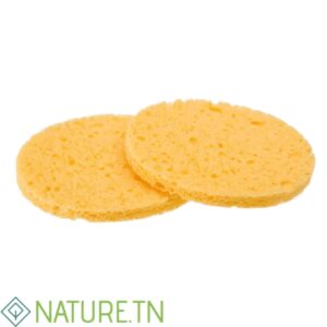 TITANIA 02 EPONGES HUMIDES D 8CM 1981