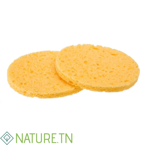 TITANIA 02 EPONGES HUMIDES D 8CM 1981 1 TITANIA 02 EPONGES HUMIDES D 8CM 1981 1