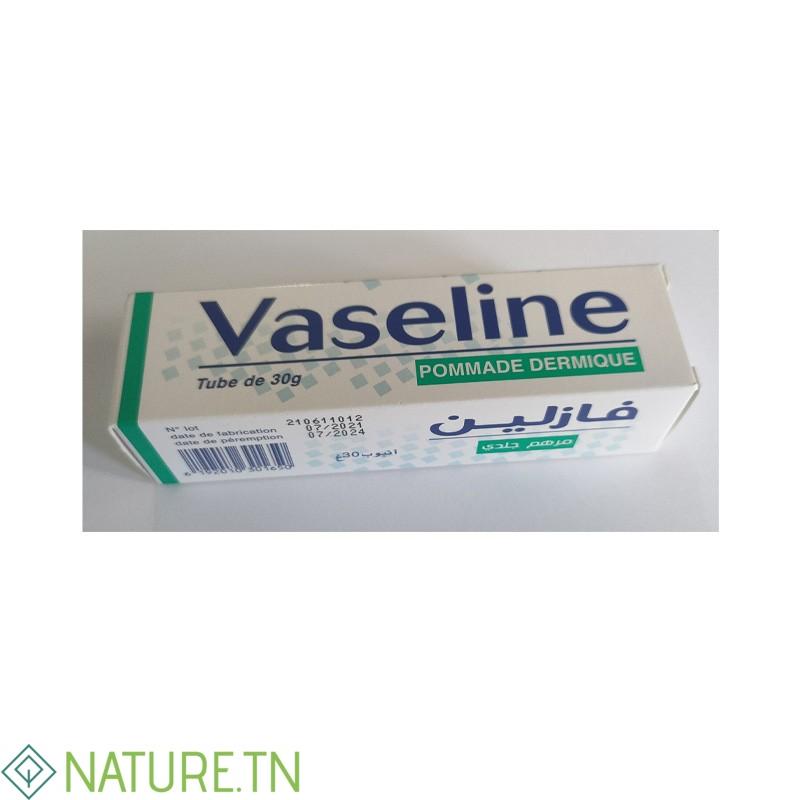 VASELINE POMMADE DERMIQUE 30 G 2 VASELINE POMMADE DERMIQUE 30 G 2
