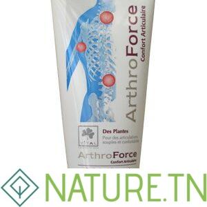 VITAL ARTHROFORCE GEL 90GR