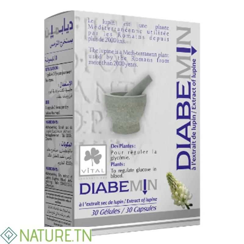 VITAL DIABEMIN 30 GELULES 1