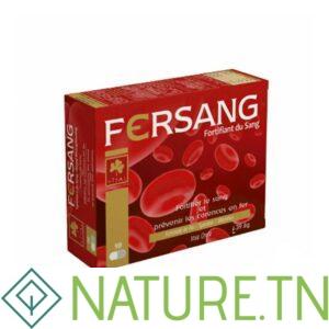 VITAL FERSANG 90 GELULES