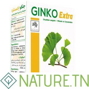 VITAL GINKO EXTRA 60 GELULES