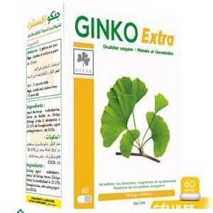 VITAL GINKO EXTRA 60 GELULES
