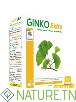 VITAL GINKO EXTRA 60 GELULES 3 VITAL GINKO EXTRA 60 GELULES