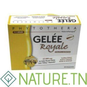 VITAL PHYTOTHERA GELEE ROYALE SACHET B/20