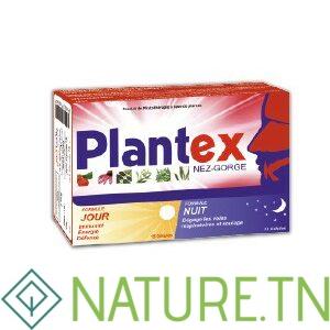 VITAL PHYTOTHERA PLANTEX 30 GELULES