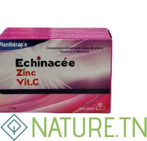 VITAL PLANTHERAPIE ECHINACEE ZINC+VIT C 60 GELULES
