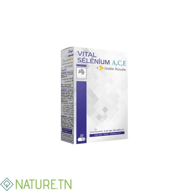 VITAL SELENIUM ACE 30 GELULES 1 VITAL SELENIUM ACE 30 GELULES 1