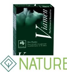 VITAL VIAMEN 15 GELULES